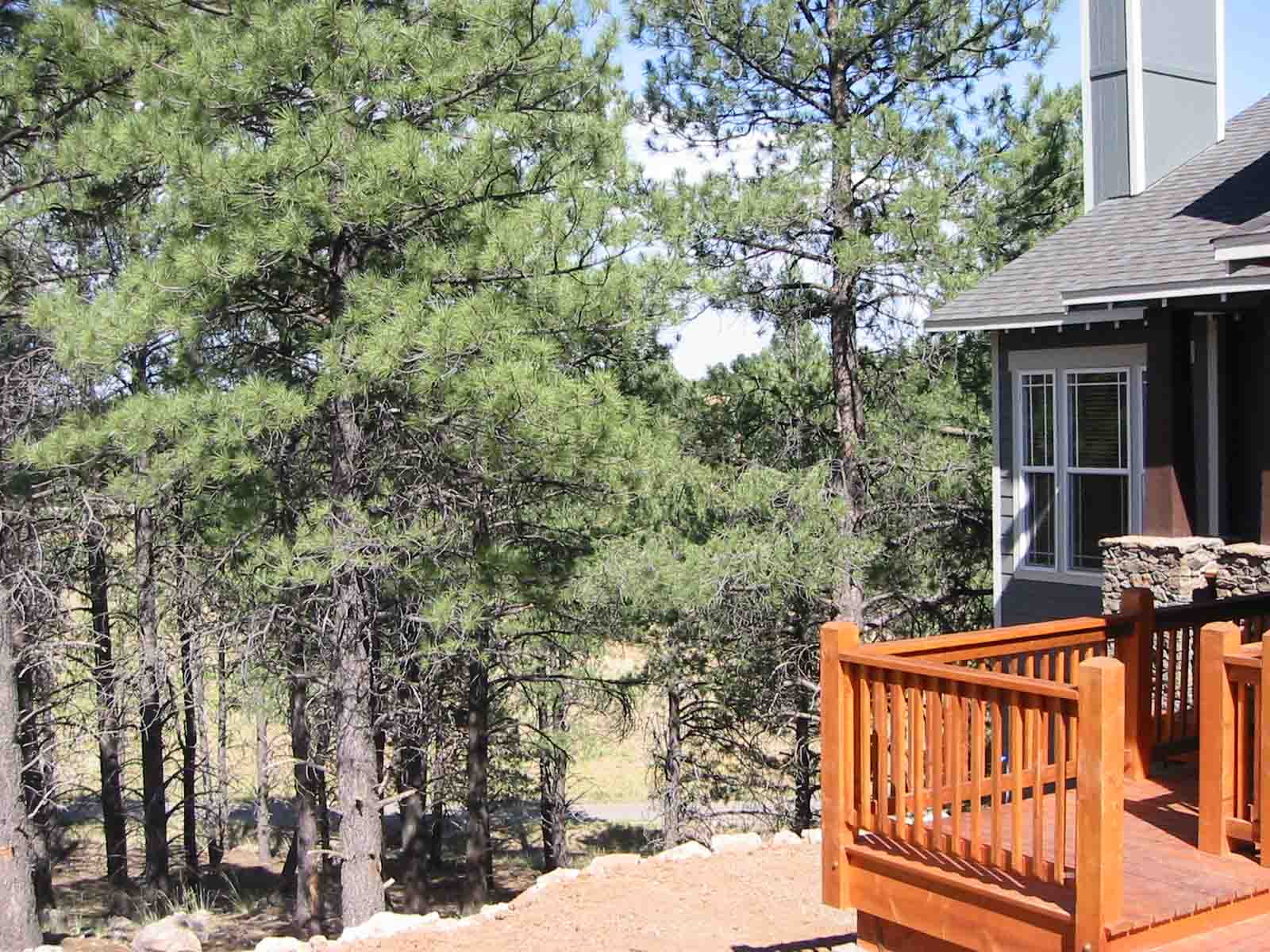 Flagstaff AZ